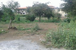 amlakgilan (2)