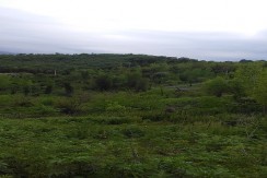 گیلان