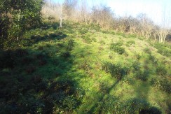 IMG_20160113_100610