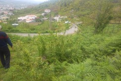 IMG_20160428_171825