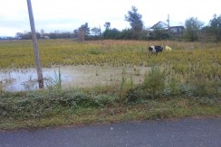 IMG_20161216_120934