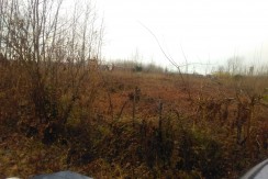 IMG_20161218_121459