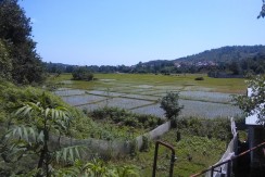 IMG_20170525_114413